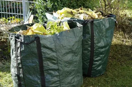 Gdzie wywieźć śmieci z działki? Proste sposoby na szybkie pozbycie się odpadów