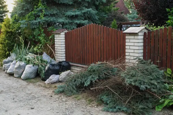 Gdzie wyrzucić gałęzie z działki? Sprawdź najlepsze opcje utylizacji